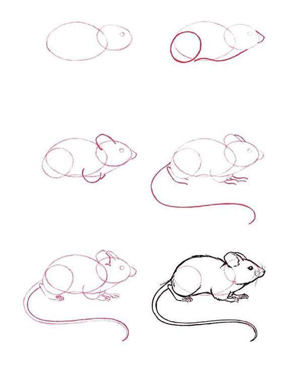 Как быстро нарисовать мышку