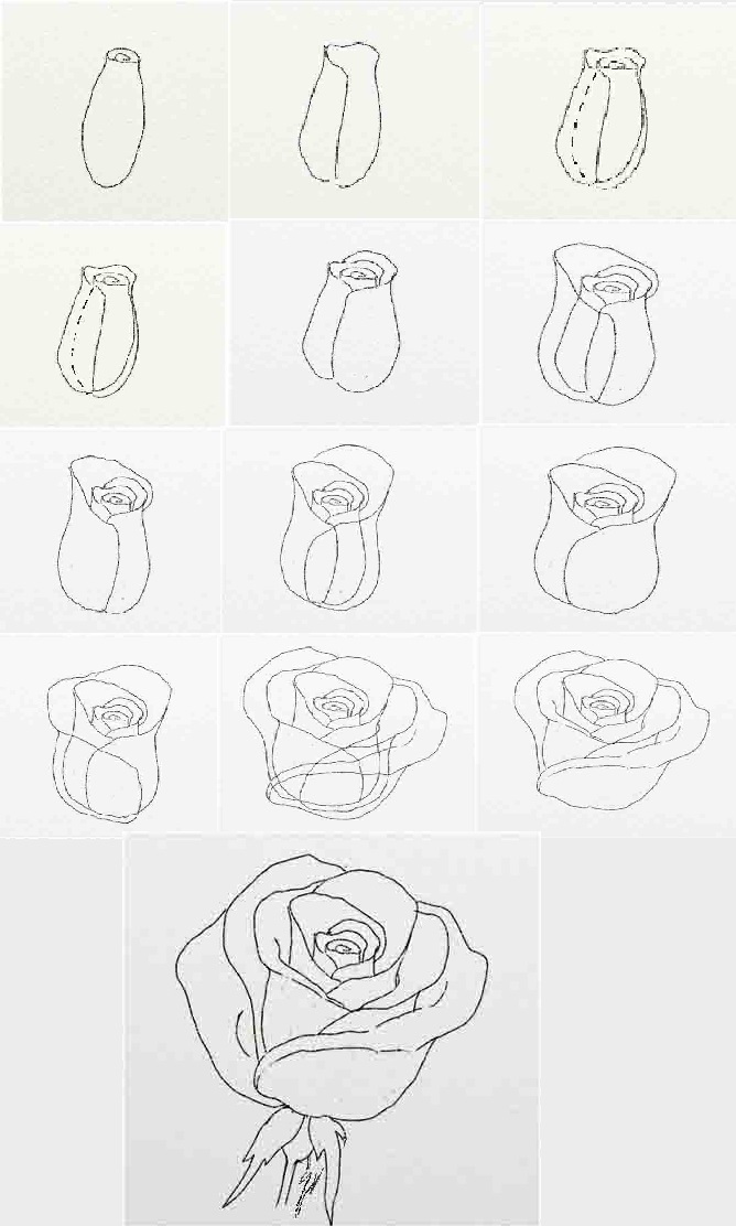 Рисунки цветов для срисовки (70 фото)