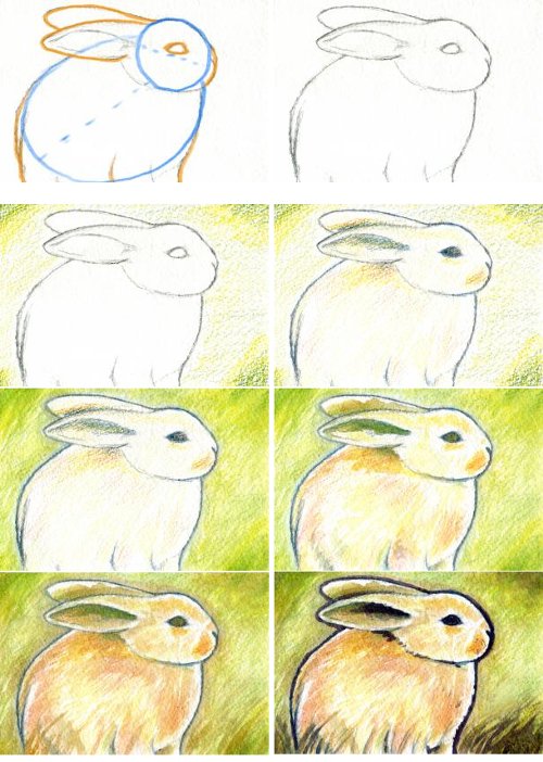 Как нарисовать кролика поэтапно карандашом — поэтапные инструкции для детей, фото идеи и примеры