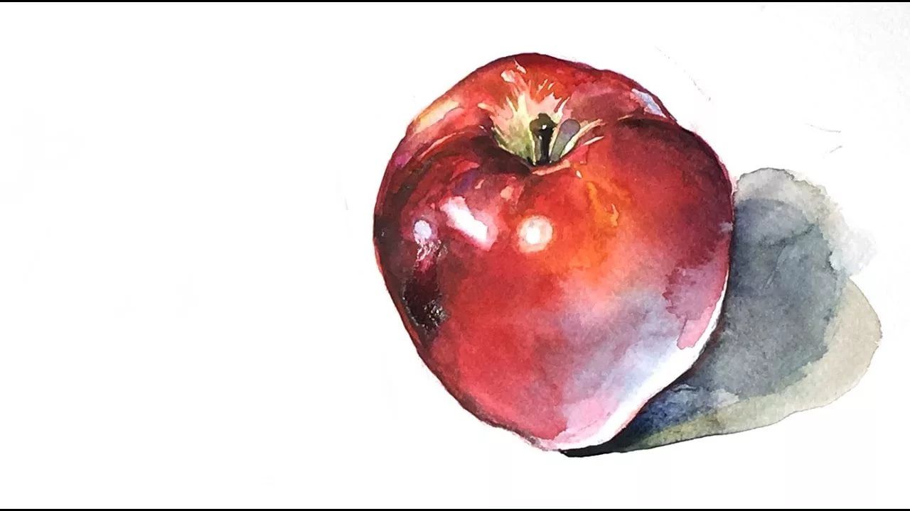 Рисуем поэтапно яблоню – как нарисовать яблоко. поэтапное рисование яблока для начинающих уроки рисования для начинающих, мультики, раскраски.