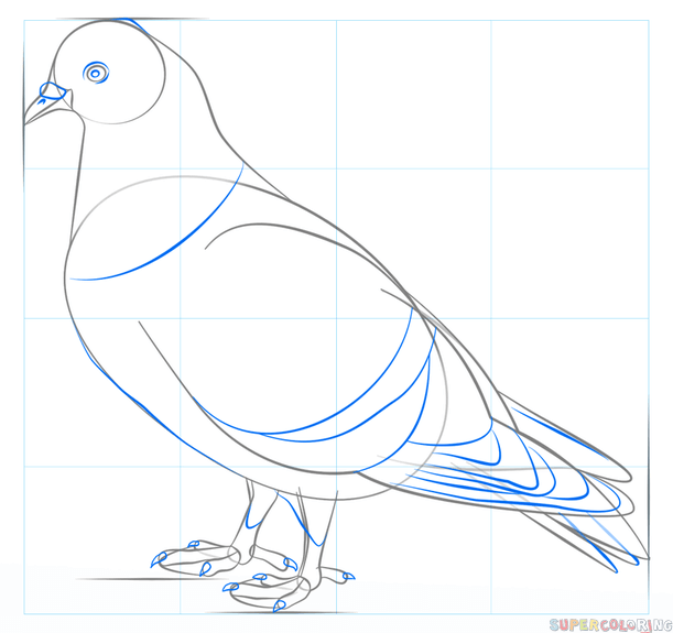 Рисуем голубя — символ мира и любви