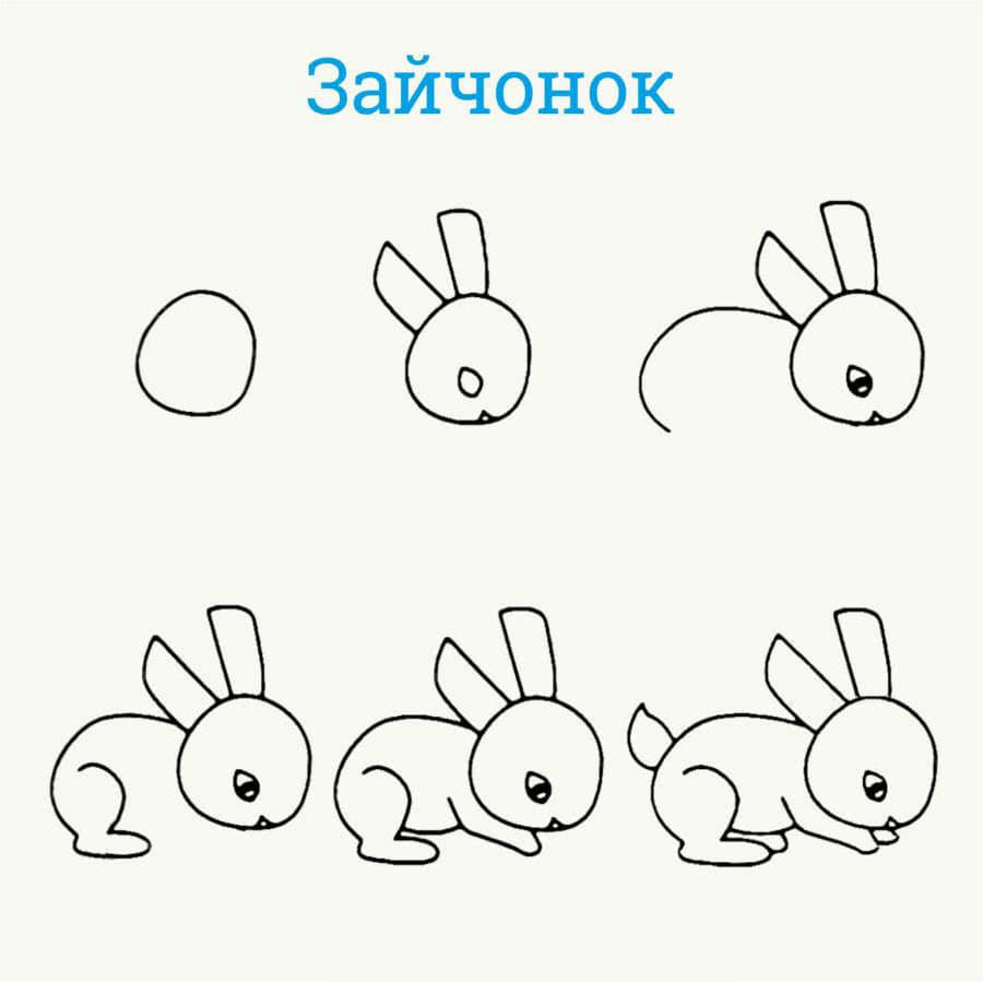 Как нарисовать кролика карандашом. топ лучших вариантов для начинающих