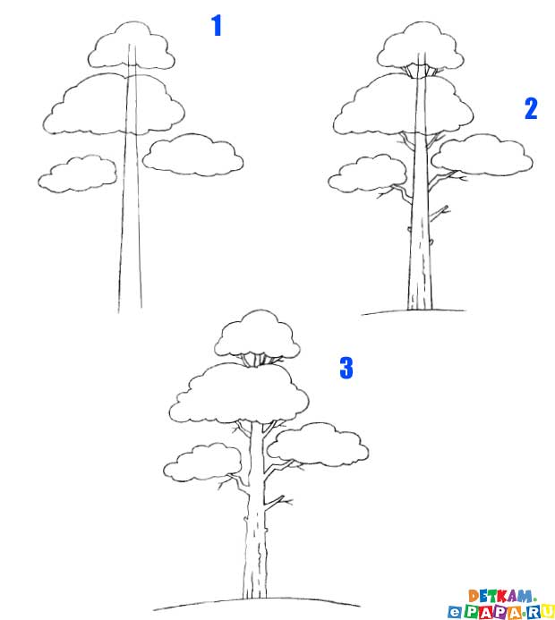 Подготовка к работе и советы как рисовать лес простым карандашом Составление композиции и создание текстуры леса