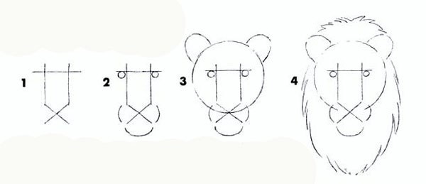 Как нарисовать льва поэтапно карандашом: пошаговая инструкция для начинающих