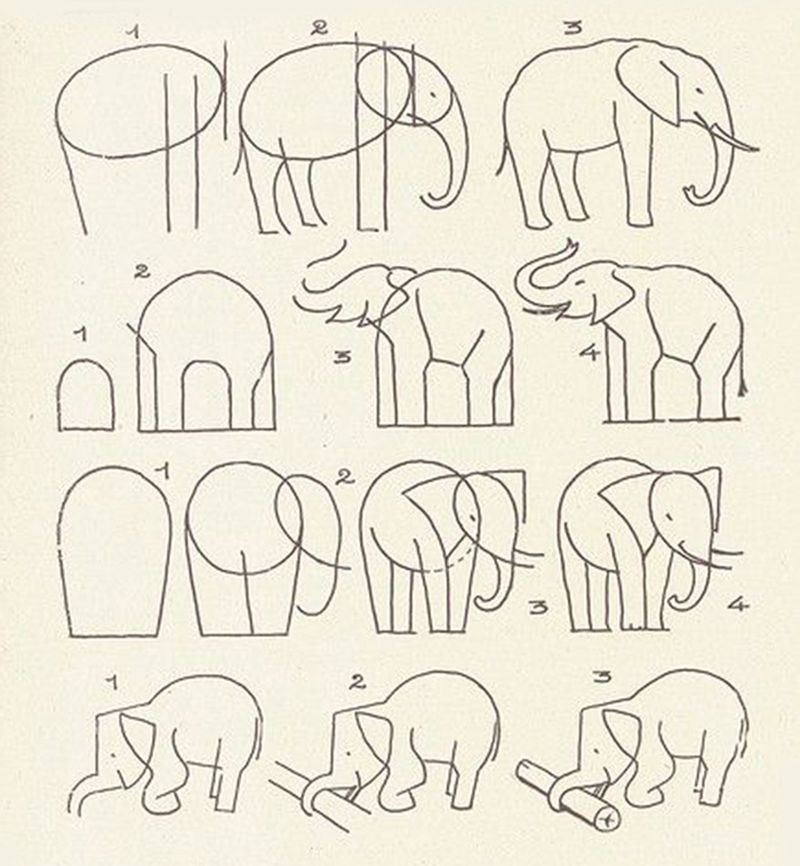 Как нарисовать слона карандашом и красками (77 фото): поэтапная инструкция для детей и начинающих
