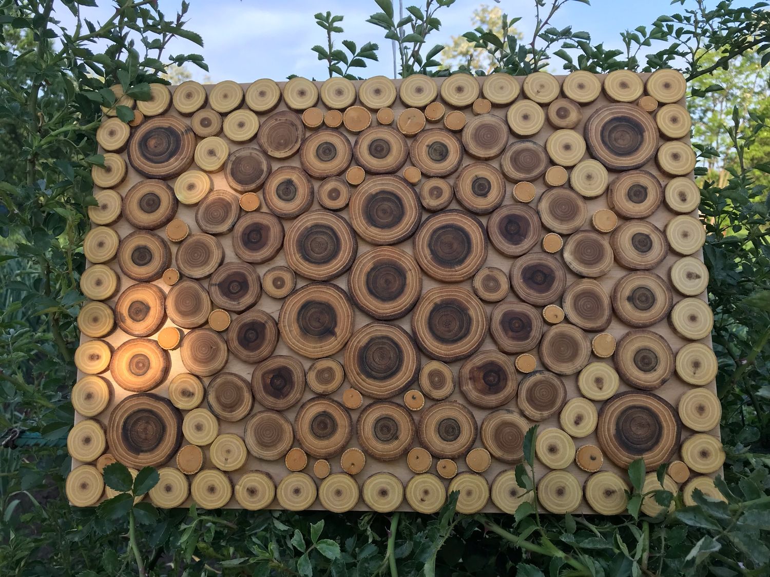 Поделки из дерева: топ-140 фото с инструкциями по созданию деревянных поделок. техники и способы создания поделок своими руками