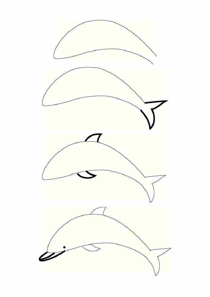 Как нарисовать дельфина карандашами (100 фото): поэтапные инструкции рисования для начинающих и детей