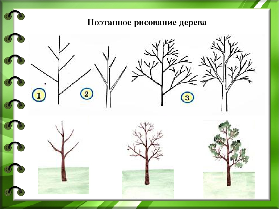 Как нарисовать лес: советы и рекомендации :: syl.ru