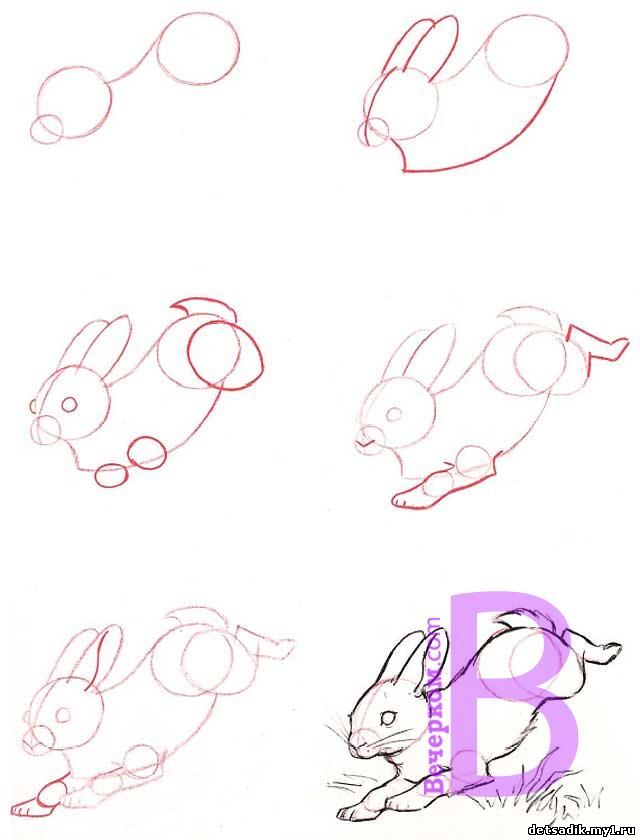 Как нарисовать зайца карандашом поэтапно. как нарисовать зайца легко и просто
