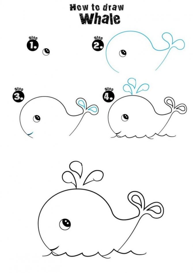 Как нарисовать кита поэтапно для детей лёгким способом