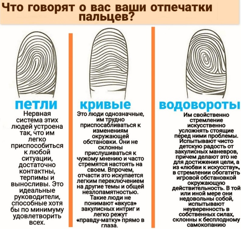 Установите соответствие рисунков ниже и изображенных на них типов папиллярных узоров