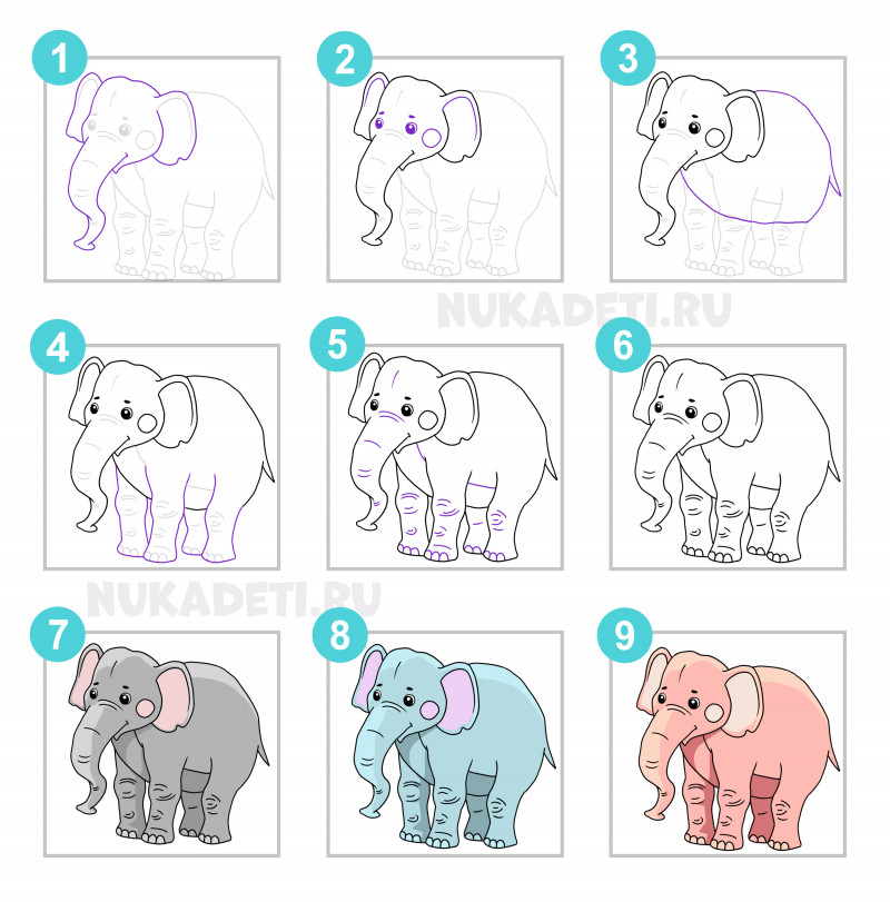 Как нарисовать слона поэтапно карандашом. как легко нарисовать слона для детей