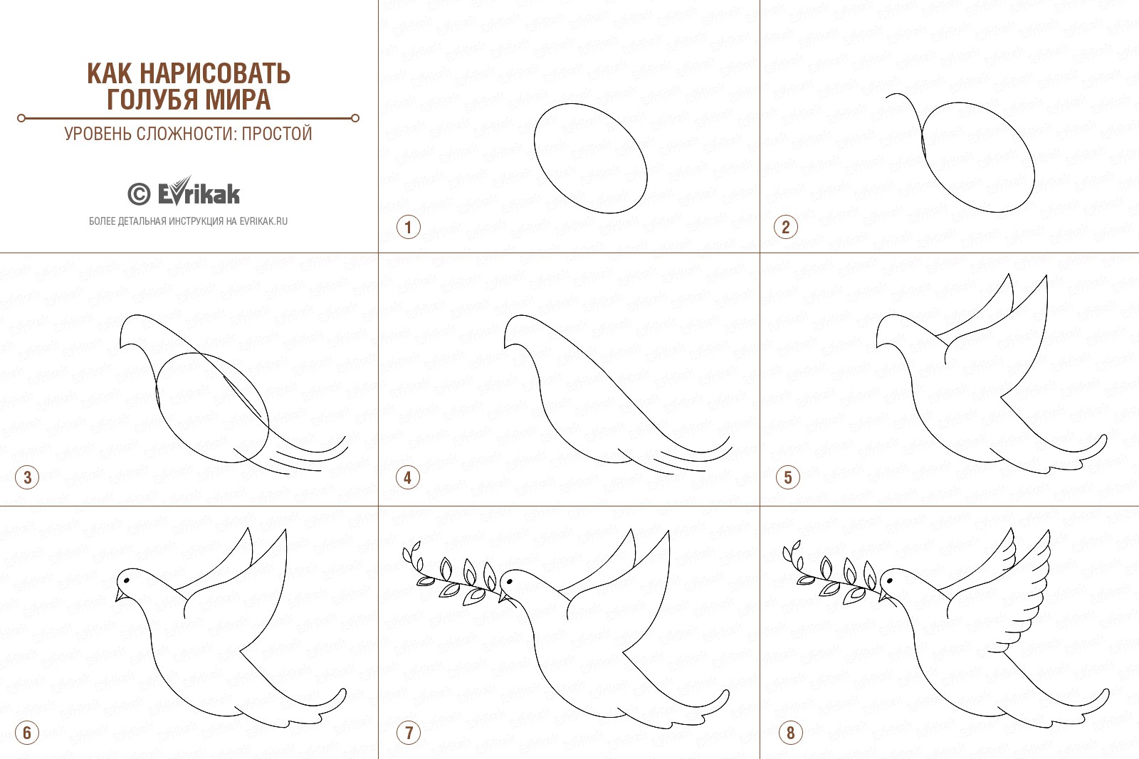 Как нарисовать голубя на 9 мая пошагово