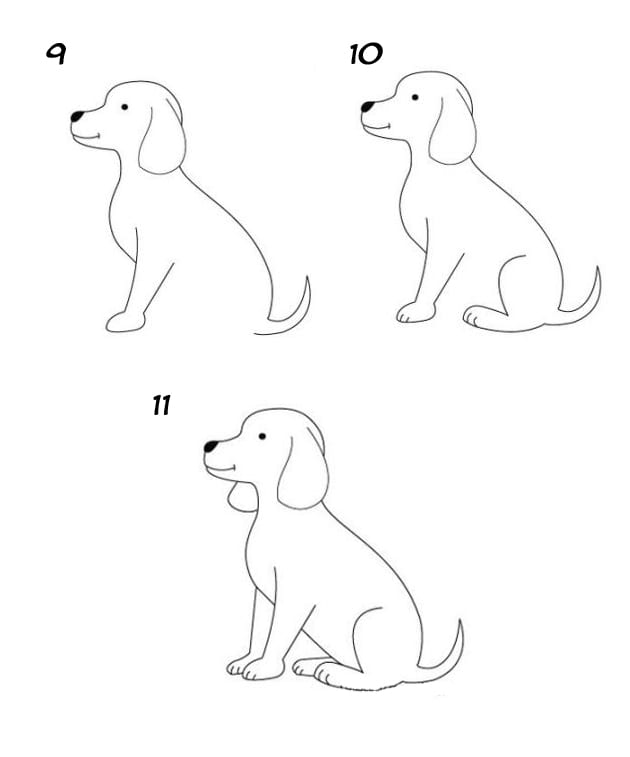 Интересные способы рисования собак популярных пород в разных позах