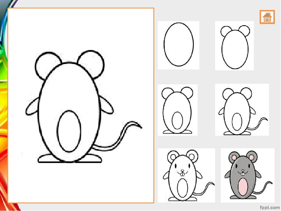 Как нарисовать мышь поэтапно карандашом (56 фото) - легкие мастер-классы по рисованию мышки