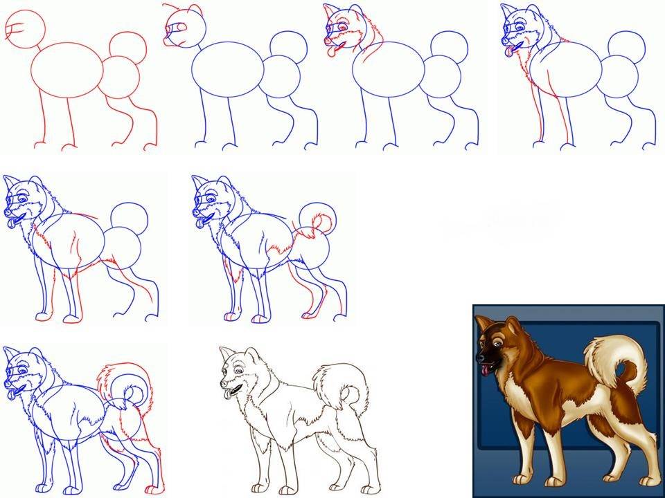 Как нарисовать собаку поэтапно для детей — легко карандашом