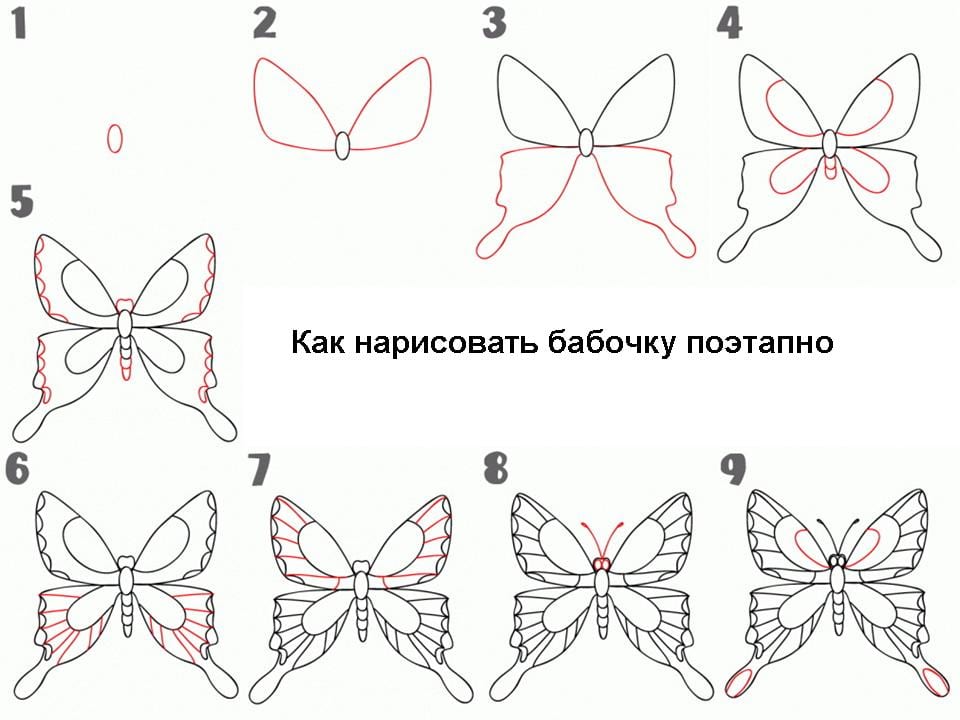 Как нарисовать бабочку: способы создания рисунка, выбор материалов и обзор техник (120 фото и видео)