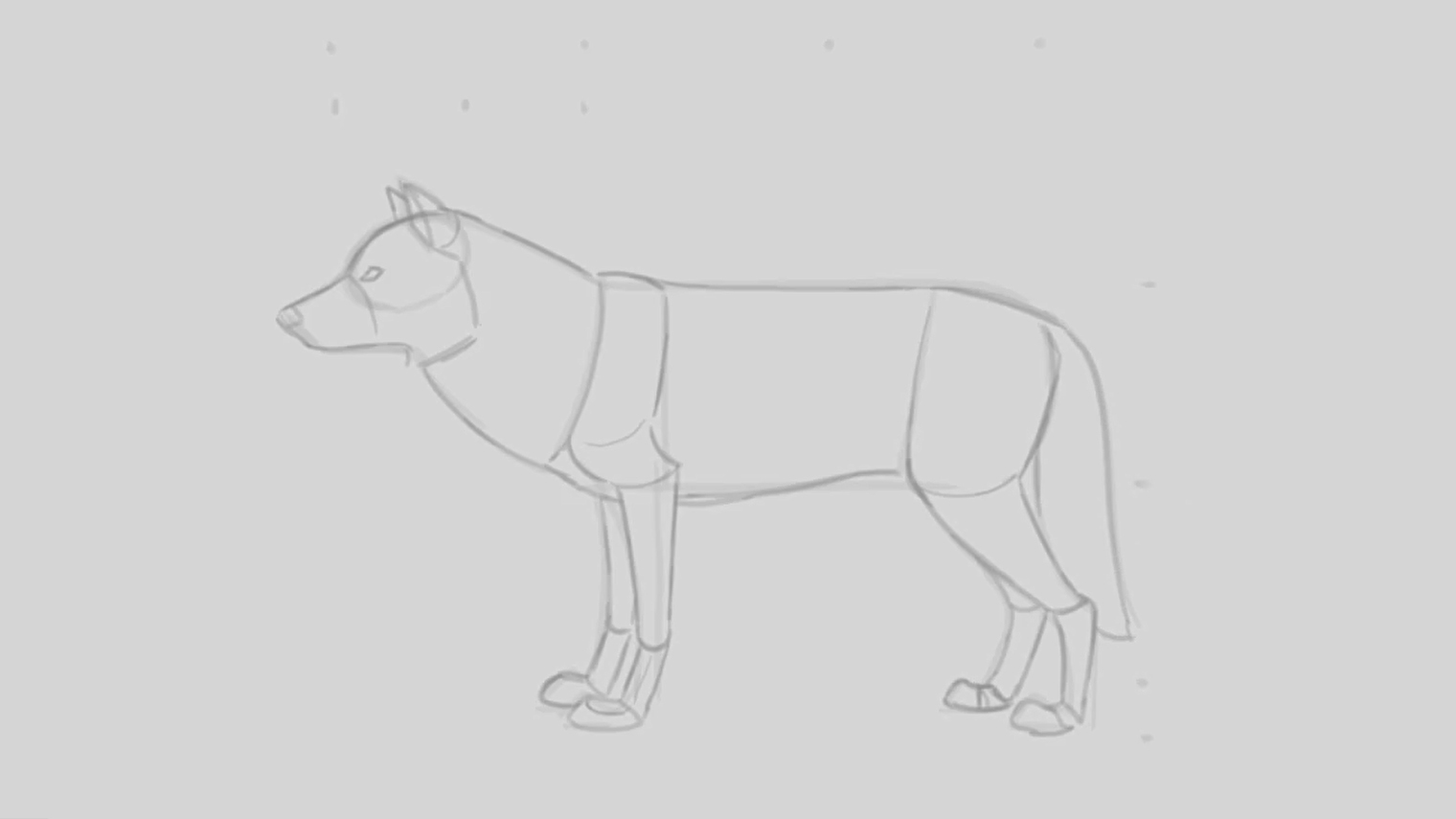 Как нарисовать волка - поэтапно создаем рисунок волка своими руками (115 фото и видео)