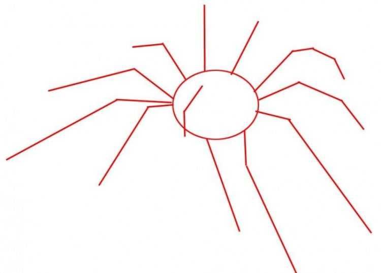 Как нарисовать паука поэтапно карандашом: мастер-класс + схемы рисования для новичков