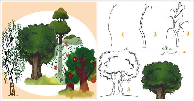 Как нарисовать лес: простой пошаговый мастер-класс рисования пейзажа для начинающих с обзором лучших идей