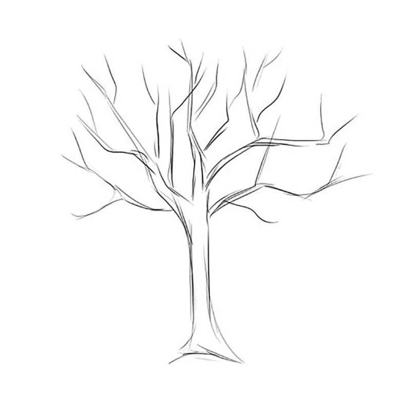 Как нарисовать дерево легко и красиво для начинающих