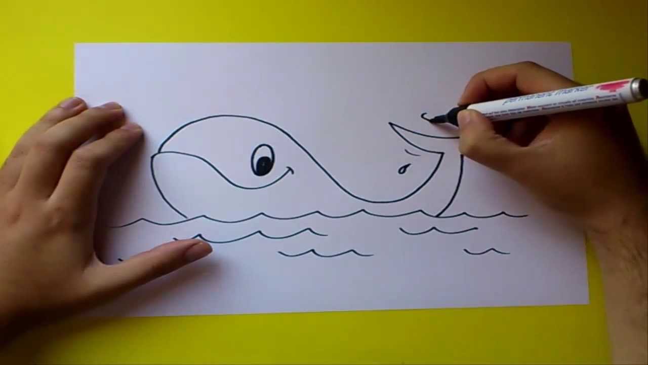 Как нарисовать кита поэтапно (64 фото) - легкие мастер-классы для начинающих