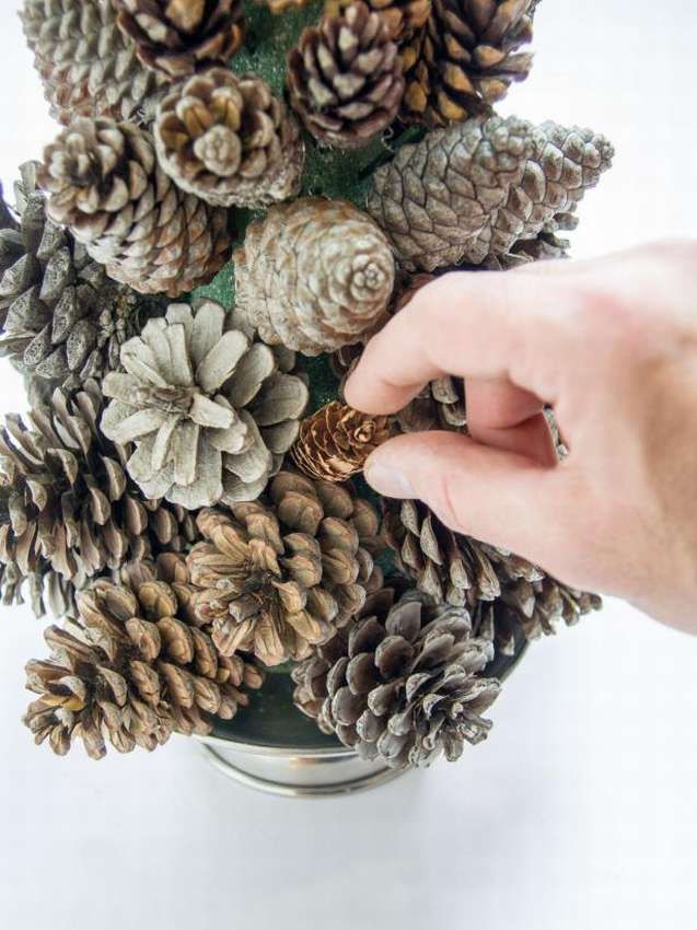 Поделки из шишек своими руками — создание топиария, декоративной корзины, цветов, шара и животных (116 фото)