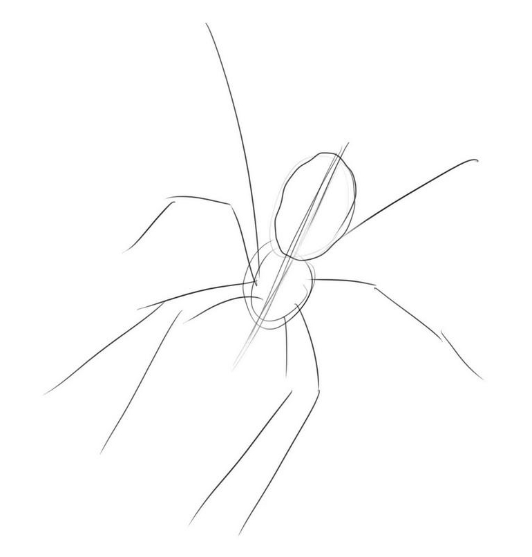 Как нарисовать человека-паука: поэтапная схема карандашом, а также инструкция по клеточкам для детей