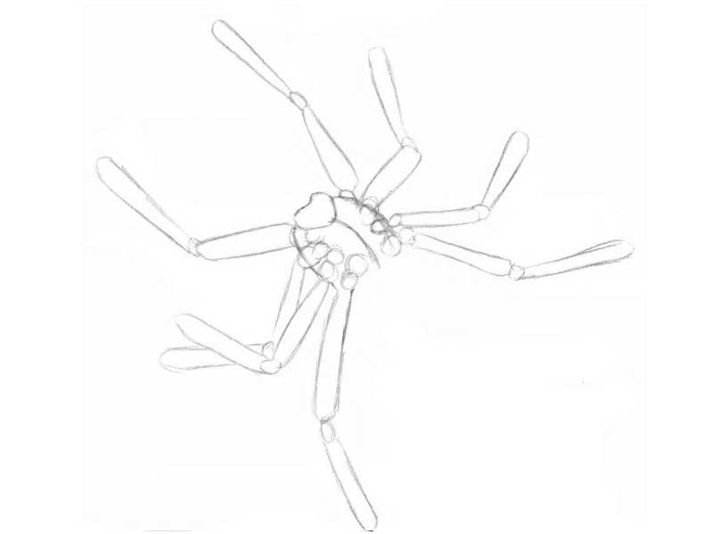 Как нарисовать человека паука поэтапно карандашом (49 фото) - легкие мастер-классы по рисованию человека паука