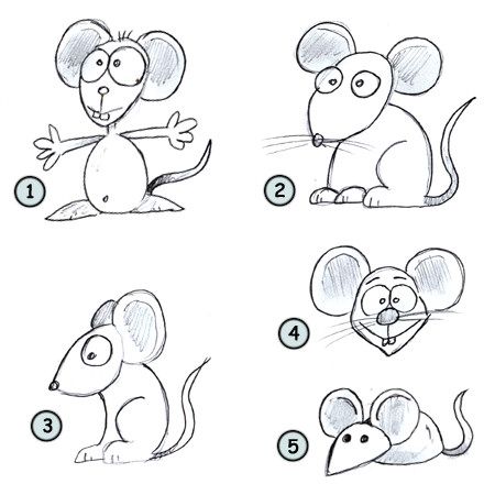 Как нарисовать мышь: этапы рисования и советы как просто и быстро нарисовать крышку (120 фото)