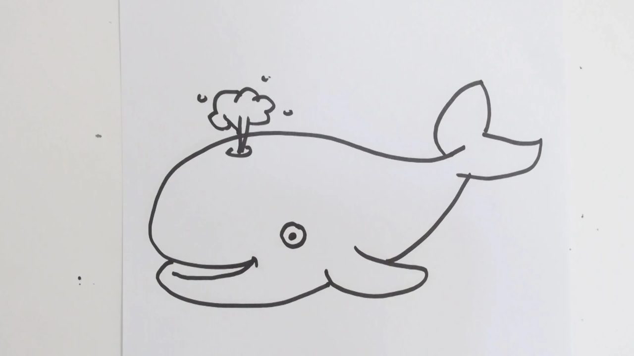Как нарисовать кита поэтапно: легкая инструкция по создания красивых рисунков карандашами