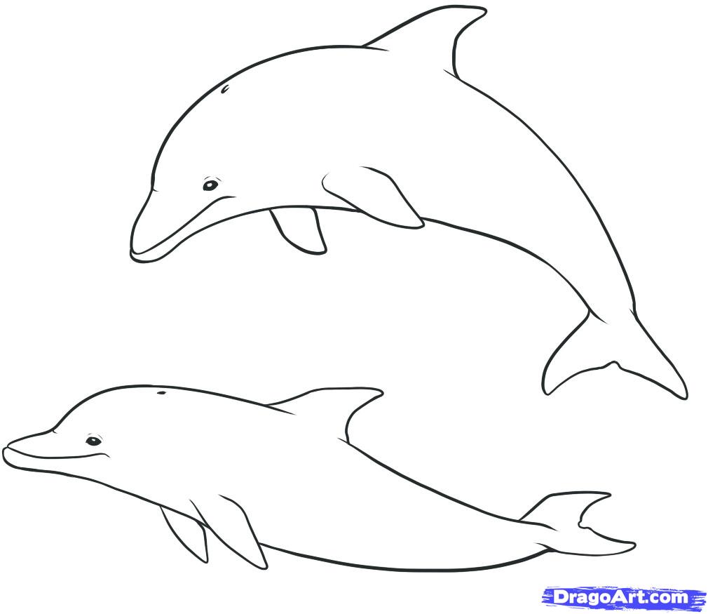 Как нарисовать дельфина поэтапно карандашом (53 фото) - легкие мастер-классы по рисованию дельфина
