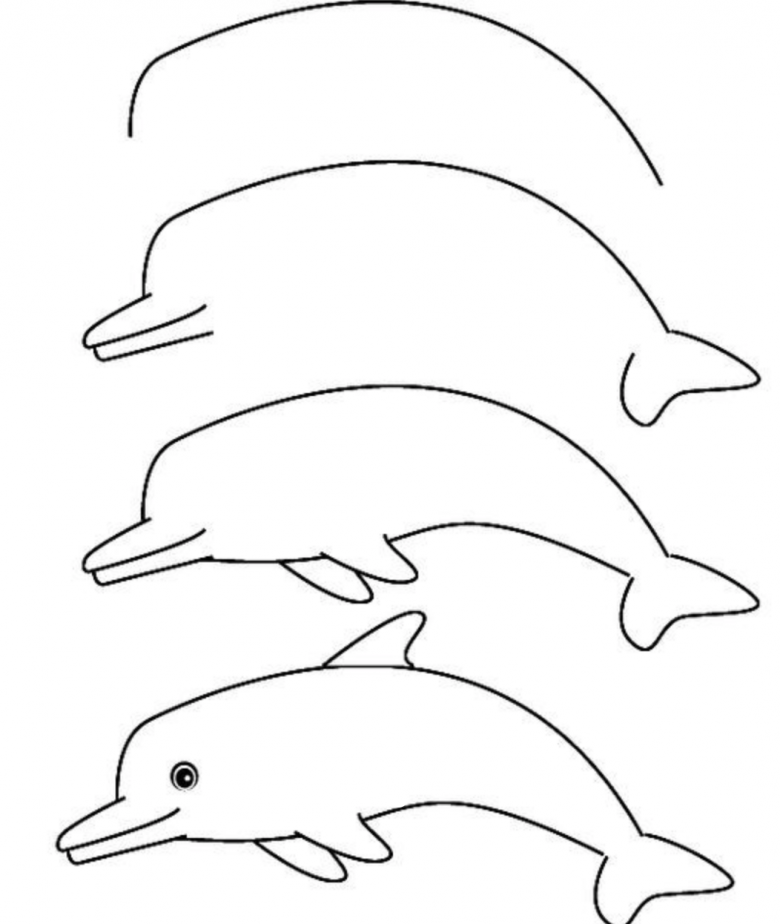 Изображения дельфинов отличный способ отточить навыки рисования сложных линий художнику Поэтапные мастер-классы по рисованию дельфинов карандашом - дельные советы, интересные примеры и фото идеи