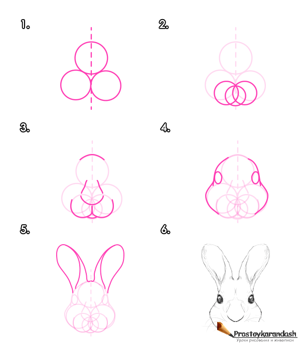 Как нарисовать зайца карандашом (44 фото) - поэтапные мастер-классы для начинающих