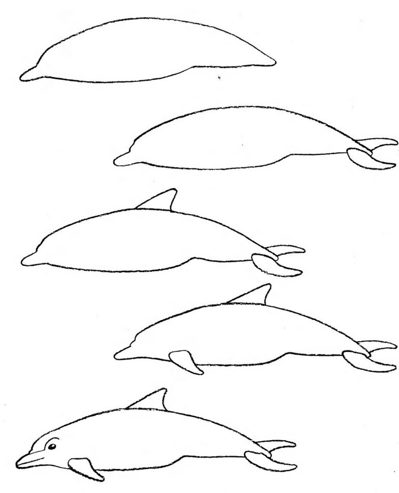 Как нарисовать дельфина: 14 шагов (с иллюстрациями)