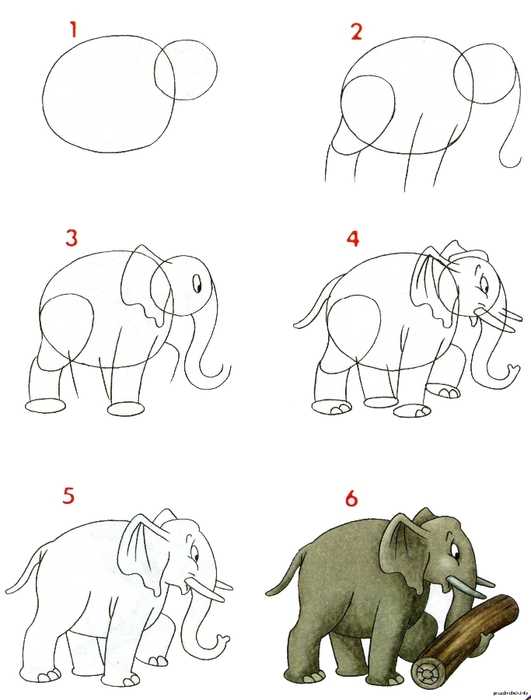Как нарисовать слона: этапы построения рисунка и придание ему объема :: syl.ru