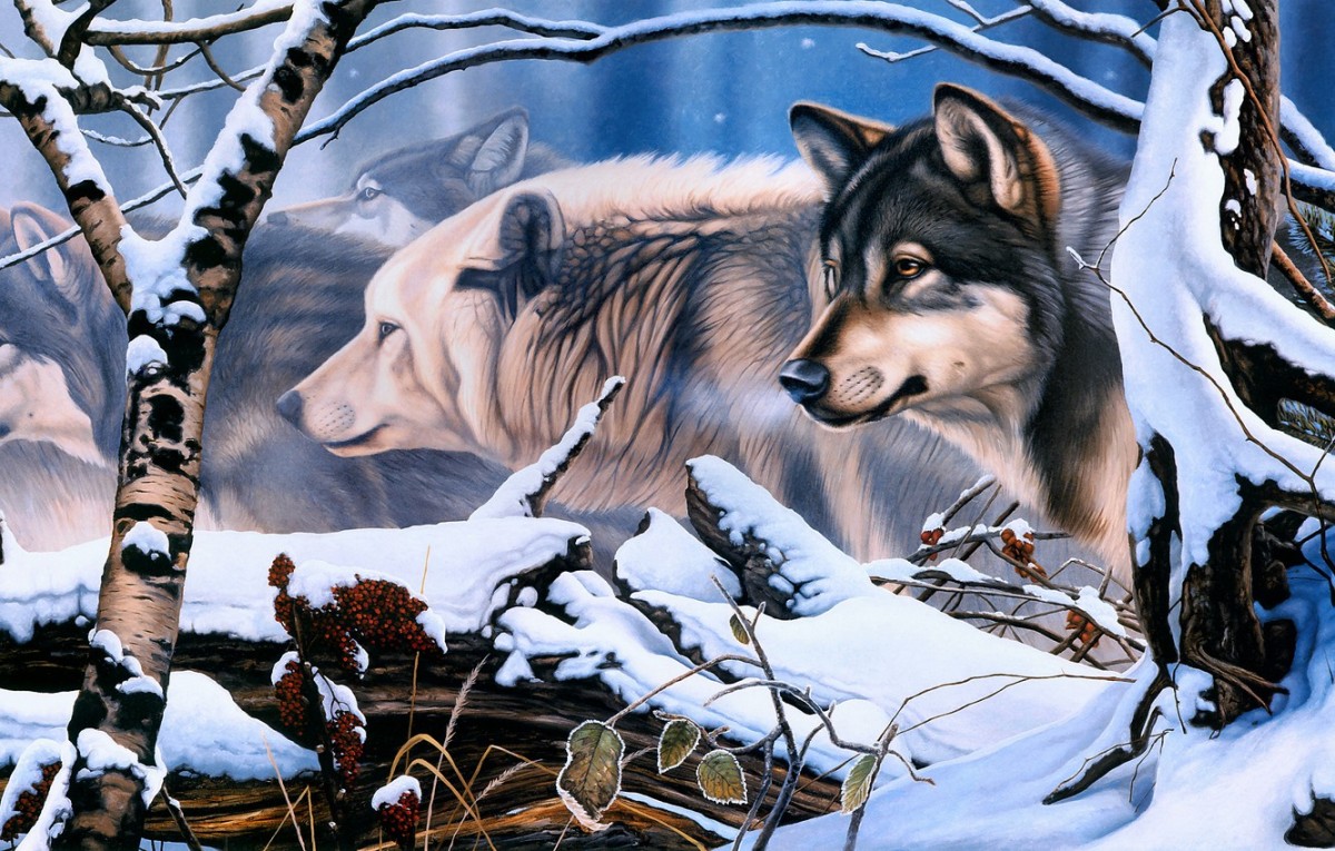 Амулеты с изображением волка
