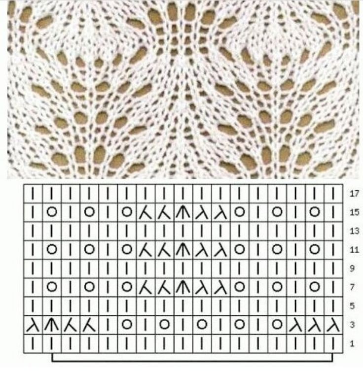 Узор "павлиний хвост" спицами: описание и схемы вязания ажурного и плотного способа, схема вязания шали