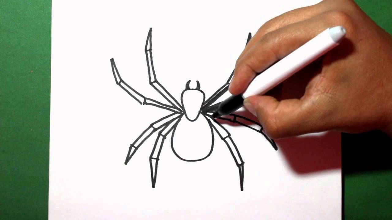 Как нарисовать паука карандашом: поэтапное руководство