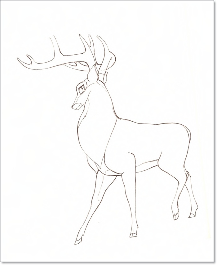 Как нарисовать оленя поэтапно – новогоднего и обычного  :: syl.ru
