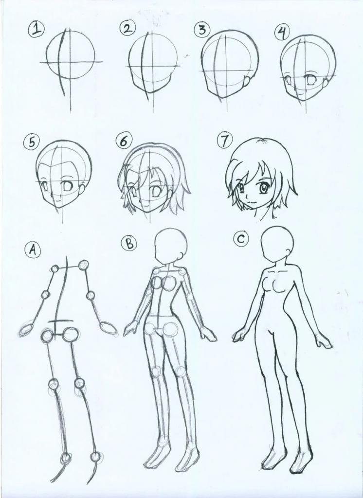 Как нарисовать аниме женщину, девушку и девочку кошку? как нарисовать голову человека кошки и в полный рост?