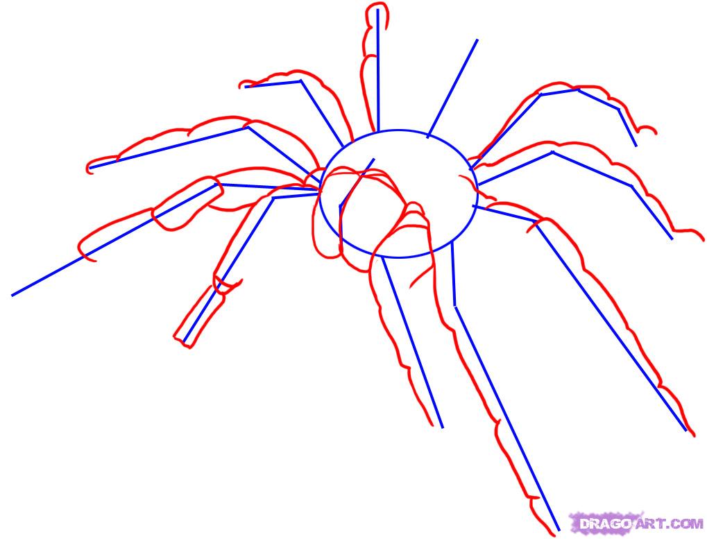 Как нарисовать человека-паука поэтапно карандашом для начинающих и детей? как нарисовать человека-паука в полный рост и голову карандашом?