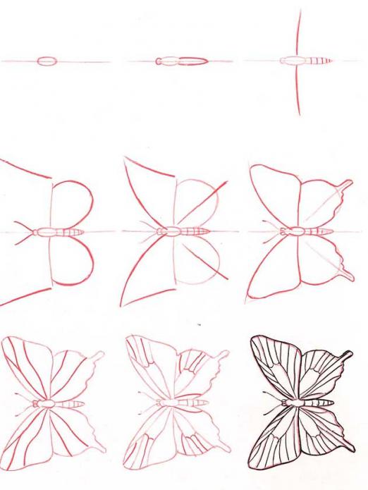 Как разукрасить бабочку карандашами цветными. как нарисовать бабочку: поэтапно карандашом.