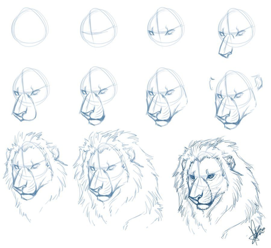 Как нарисовать льва поэтапно: легкий урок создания красивого рисунка льва карандашом