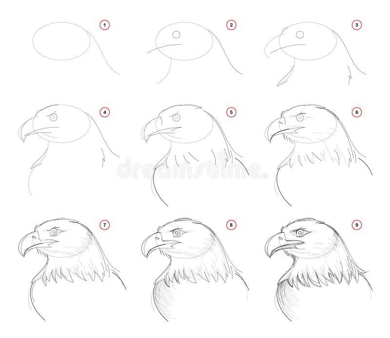 Рисования орла карандашом достаточно простая задача если следовать инструкциям Подборка поэтапных мастер-классов по рисованию орла своими руками