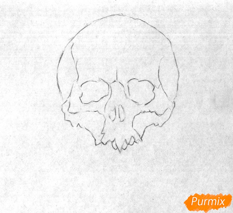 Рисуем череп пошагово