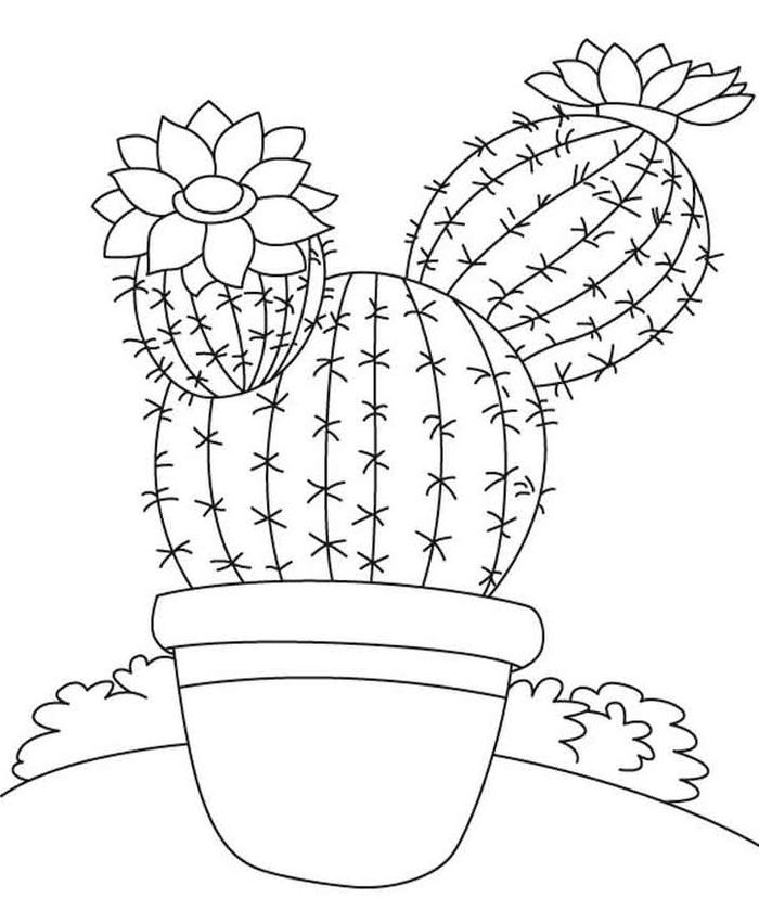 Как нарисовать кактус карандашом поэтапно — 3 рисунка для начинающих
