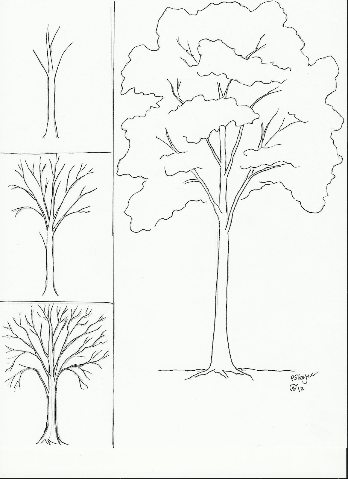 Пошаговое изображение деревьев карандашами