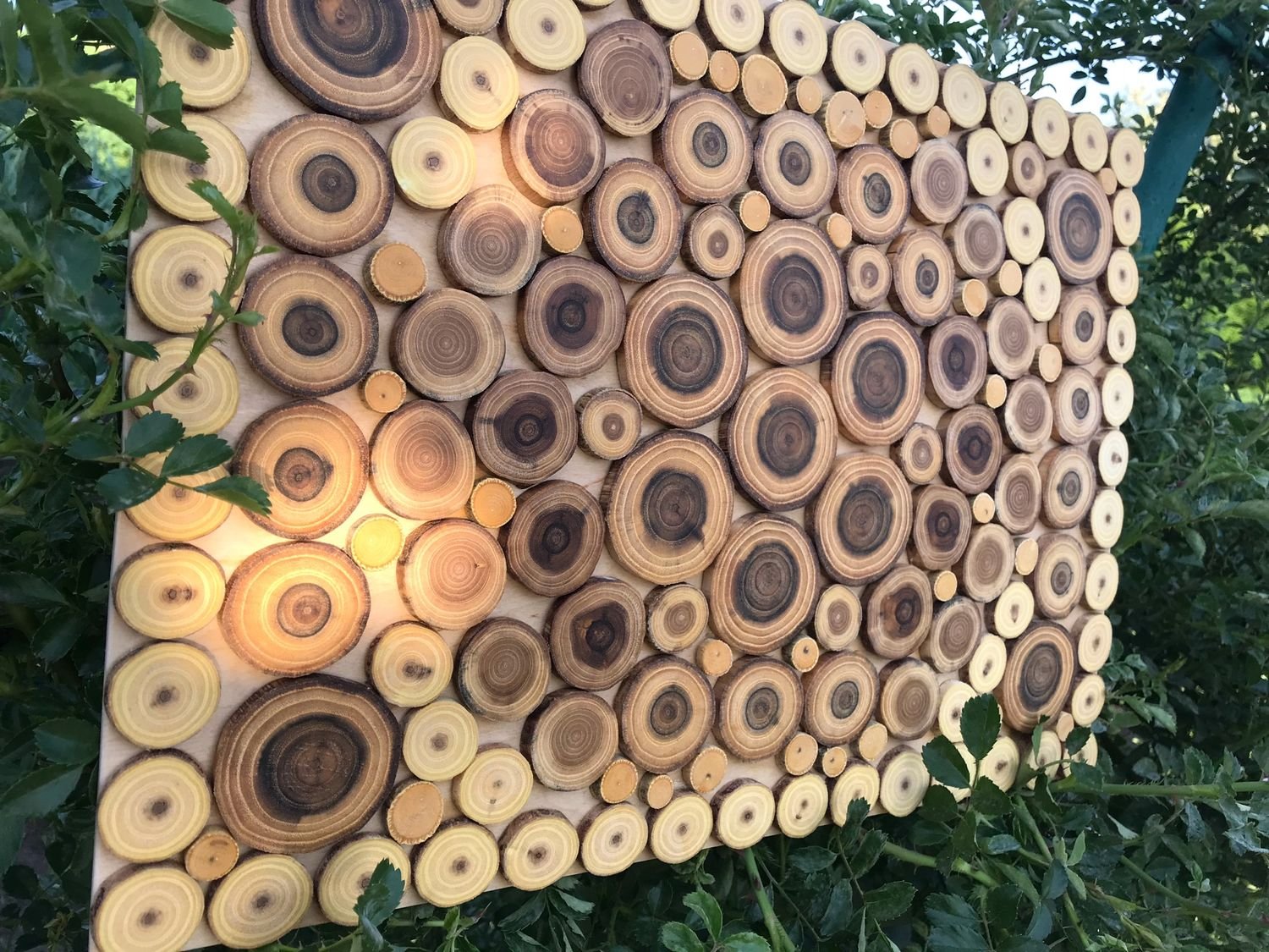 Поделки из спилов дерева: натуральный декор своими руками
