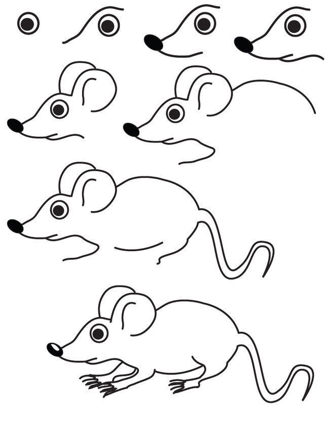 Как нарисовать мышь карандашом поэтапно для начинающих легко